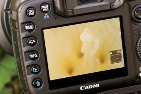 Live View: how to use it on any camera... and when to turn it off