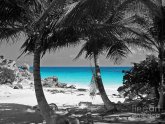 Black and white Photography with color Splash