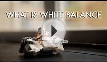 Photography | What is white balance | Episode 10 | Digital